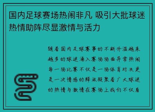 国内足球赛场热闹非凡 吸引大批球迷热情助阵尽显激情与活力
