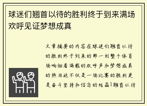 球迷们翘首以待的胜利终于到来满场欢呼见证梦想成真