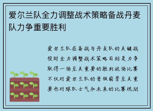 爱尔兰队全力调整战术策略备战丹麦队力争重要胜利