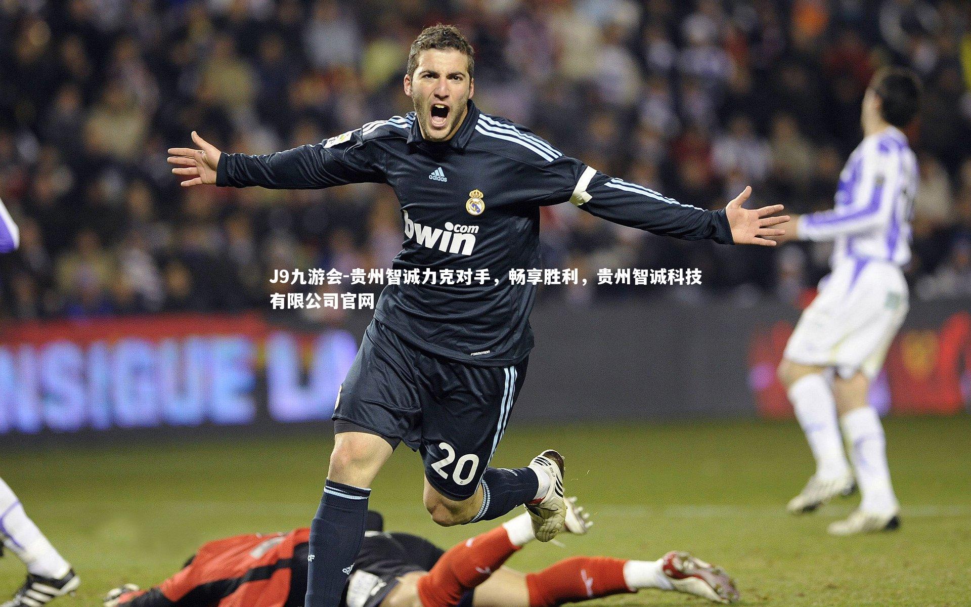 贵州智诚力克对手，畅享胜利，贵州智诚科技有限公司官网